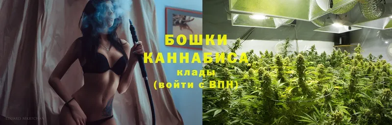 магазин    Болхов  Бошки марихуана SATIVA & INDICA 